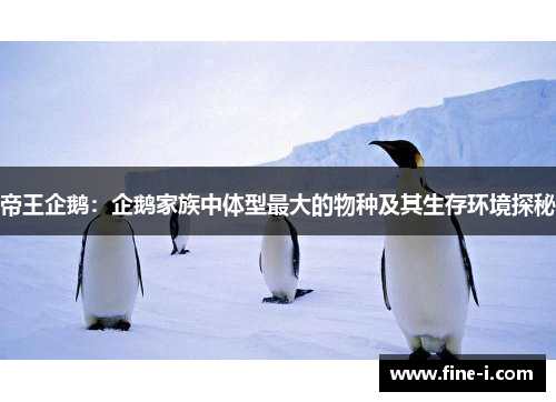 帝王企鹅：企鹅家族中体型最大的物种及其生存环境探秘